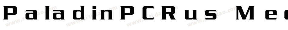 PaladinPCRus Medium字体转换